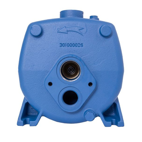 Pompa de mare adancime din fonta SixTeam STA1503, putere 1100 W, debit 1500 l/h, inaltime refulare 50 m, aspiratie 50 m [5]
