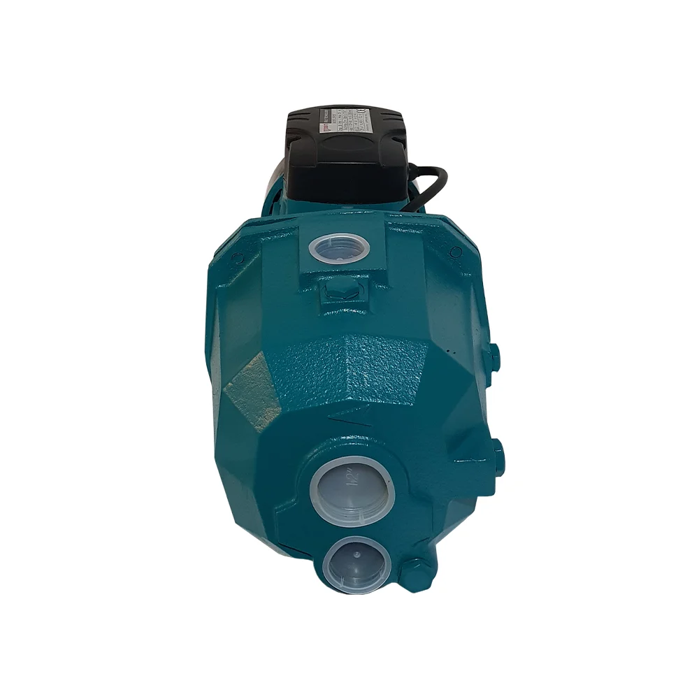 Pompa de suprafață autoamorsantă cu ejector, 2200 W, 15 m refulare, DDT DP255 [5]