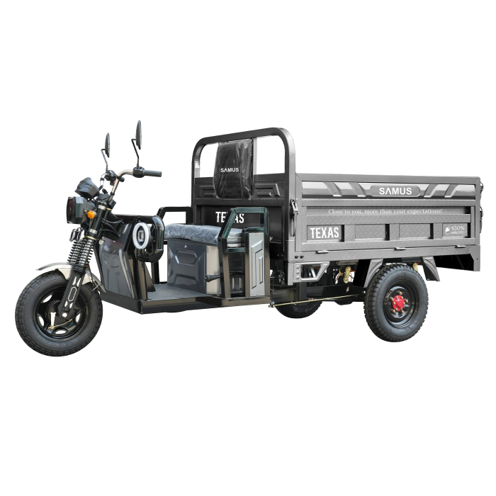 Triciclu electric cargo Samus Texas-170/130-12T150060V58-Silver [4]
