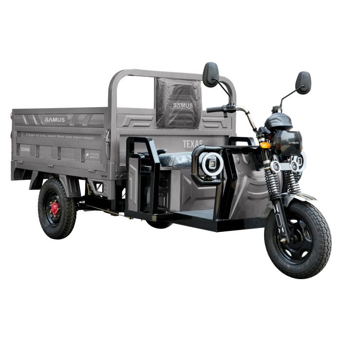 Triciclu electric cargo Samus Texas-170/130-12T150060V58-Silver [2]