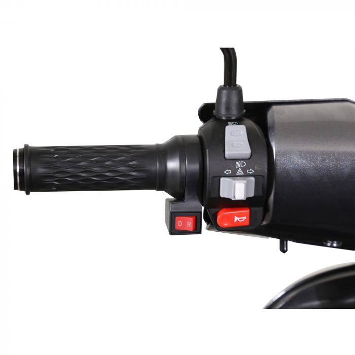 Triciclu electric Samus Arizona 3R1 1000W 60V 20Ah Autonomie 52 km 3 viteze Argintiu [17]