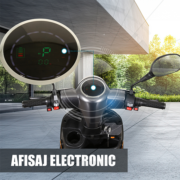 Triciclu electric Samus Arizona-3R1-10T1000-60V20 Silver [22]