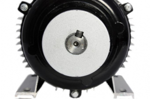 Motor electric 2800RPM 0.75Kw cu carcasa de aluminiu Micul Fermier [3]