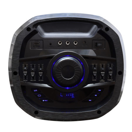 Boxă activă portabilă cu Bluetooth, 2×10” (25 cm), 160W RMS, microfon wireless, telecomandă, acumulator 12V 7.2Ah, USB/TF/AUX/FM, funcție înregistrare [4]