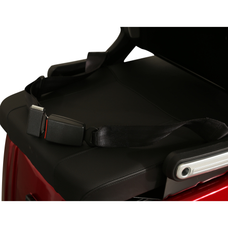 Cvadriciclu electric Samus Arizona-4R1-8_10T1000-60V20 Red [5]