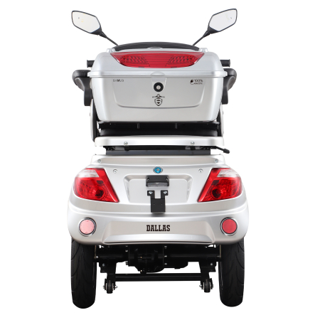Cvadriciclu electric Samus Dallas-4R1-10T1000-60V20-Silver [3]