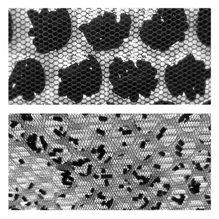 Filtru pentru purificatorul de aer Samus Expert 66 Wifi [1]