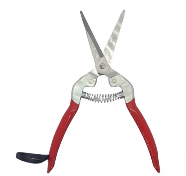 ZOOTEHNIE - https://gomagcdn.ro/domains/tehno-ms.com/files/product/original/foarfeca-de-taiat-vie-struguri-739489.jpg