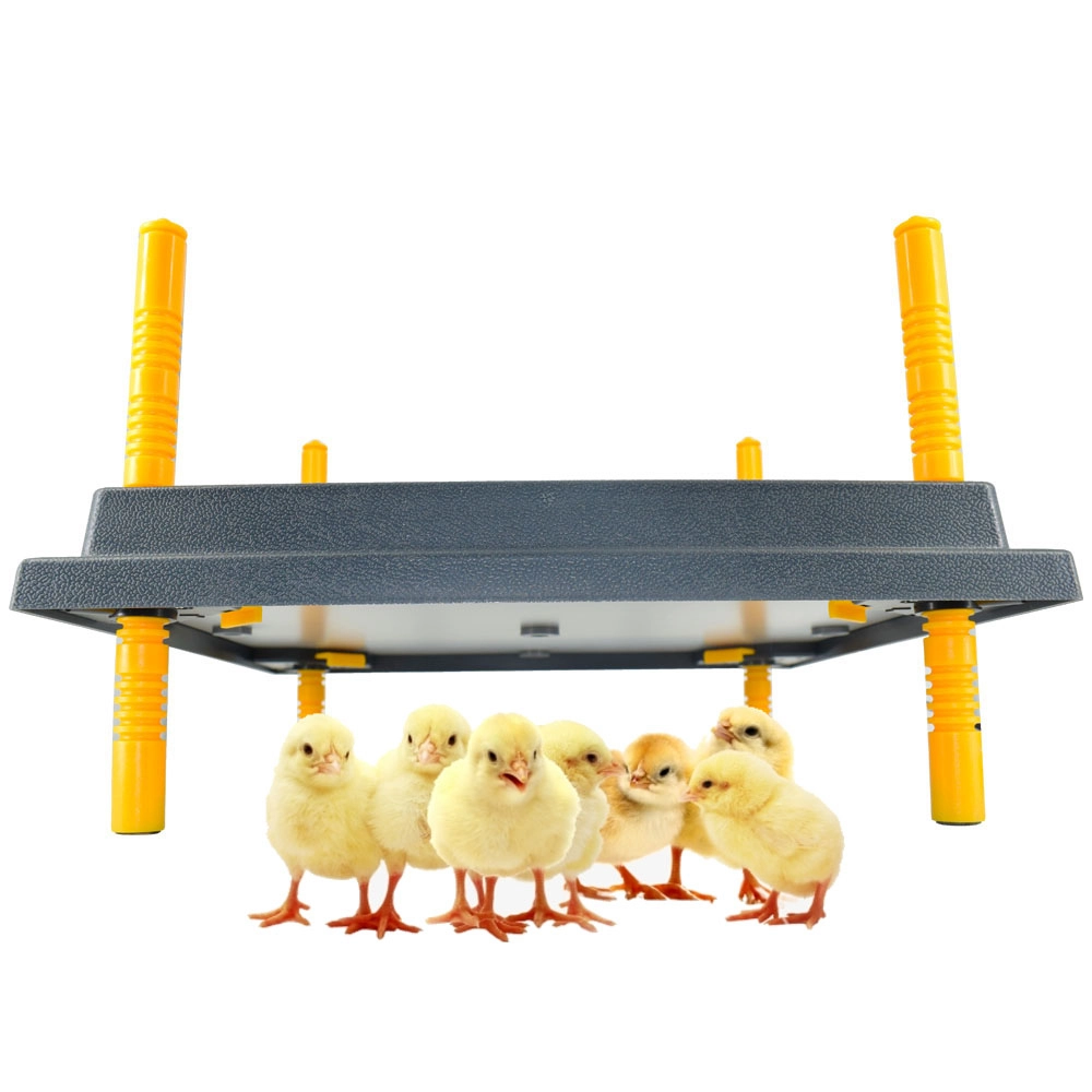 ZOOTEHNIE - Panou de încălzire pentru pui MS 30x40 cm, putere 35W – încălzitor electric pentru găini și pui