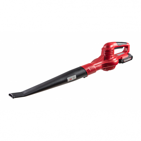 GRADINA - Suflanta frunze 190km/h 2Ah Set RDP-SBL20