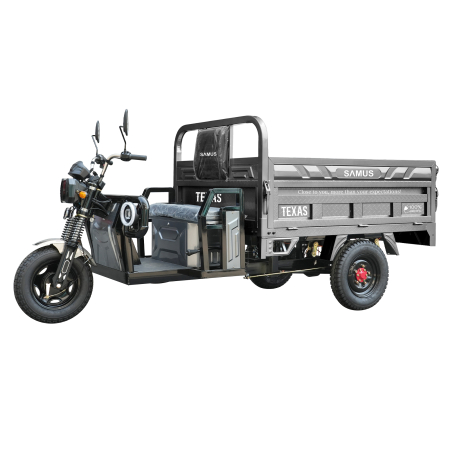 Triciclu electric cargo Samus Texas-170/130-12T150060V58-Silver [3]