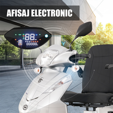 Triciclu electric Samus Dallas-3R2-10T1000-60V20-Silver [9]