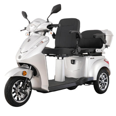 Triciclu electric Samus Dallas-3R2-10T1000-60V20-Silver [0]