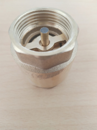 Vas expansiune hidrofor, otel, filet exterior, Ø 1", 6 bar, 50 litri [6]