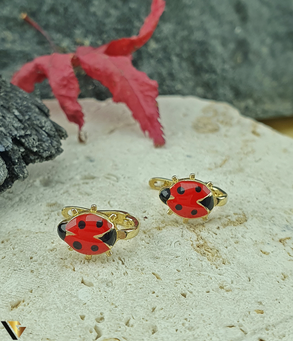 Cercei  Aur 14k [2]