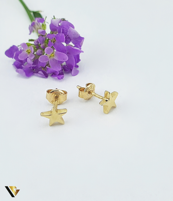Cercei Aur 14k [1]