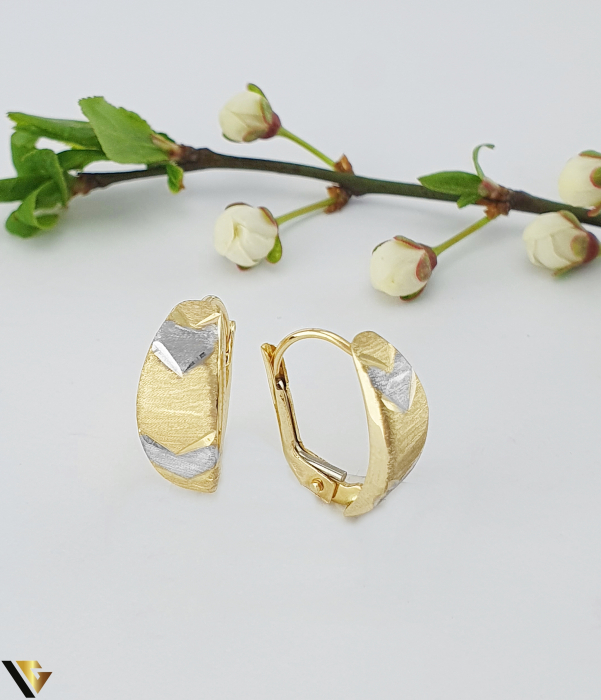 Cercei  Aur 14k [1]