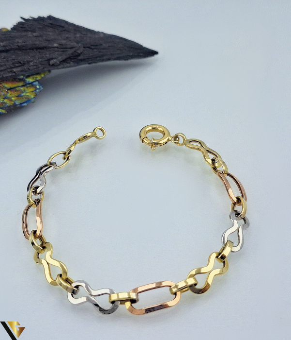 Bratara Aur 14K [3]