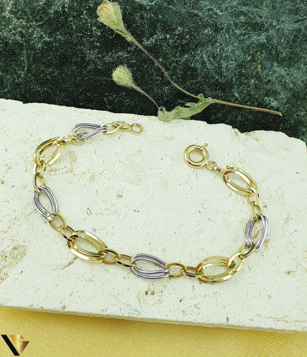 Bratara Aur 14k [1]