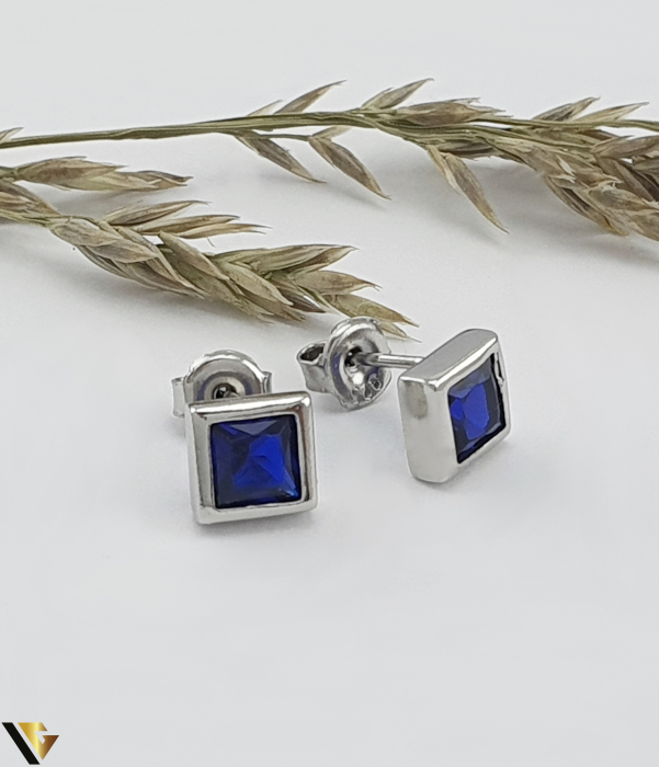 Cercei Argint 925 [1]