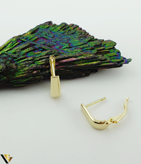 Cercei Aur 14k [1]