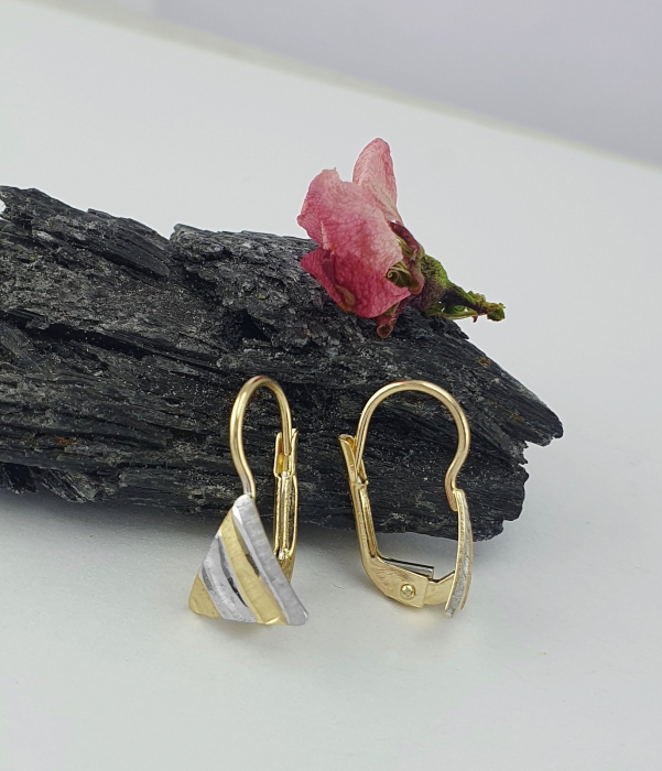 Cercei Aur 14k [1]