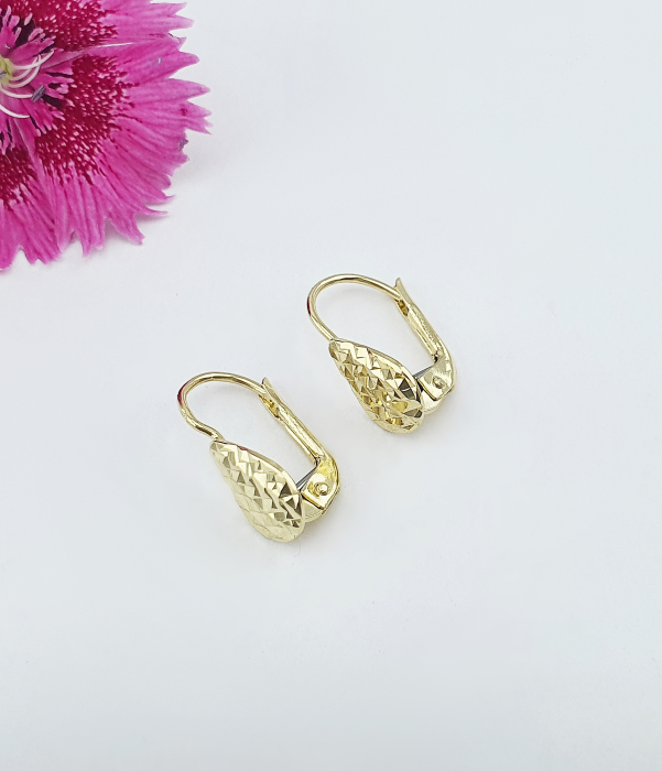 Cercei Aur 14k [2]