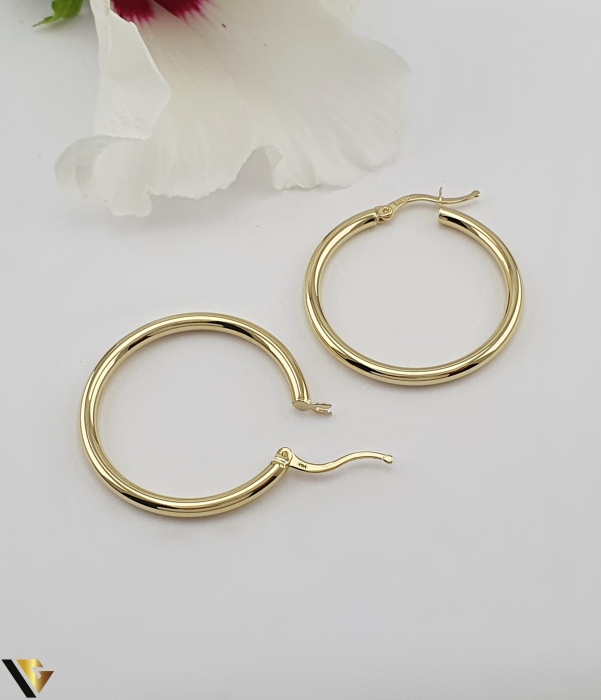 Cercei Aur 14K [2]