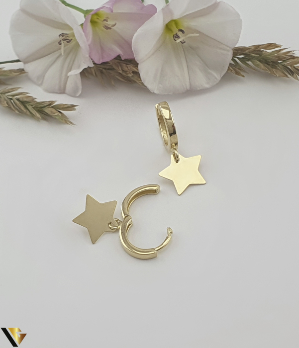 Cercei Aur 14k [2]