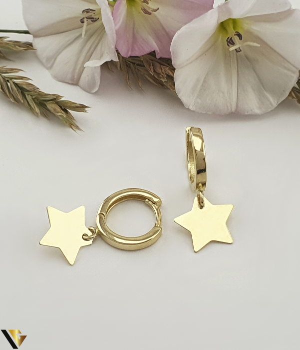 Cercei Aur 14k [1]