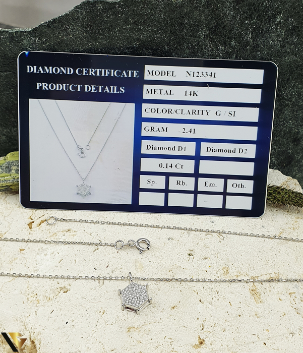 Lant cu Pandantiv Aur Alb 14k, Diamante 0.14 ct in total [3]