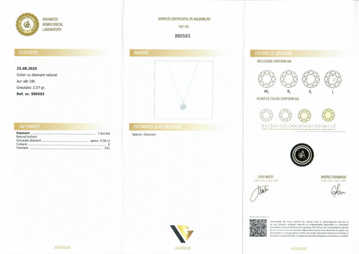 Lant cu Pandantiv Aur Alb 18k, Diamant 0.56 ct [4]