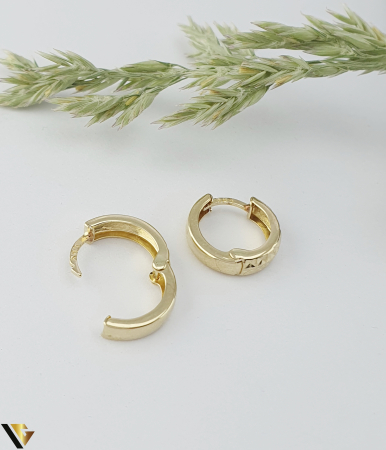 Cercei  Aur 14k [1]