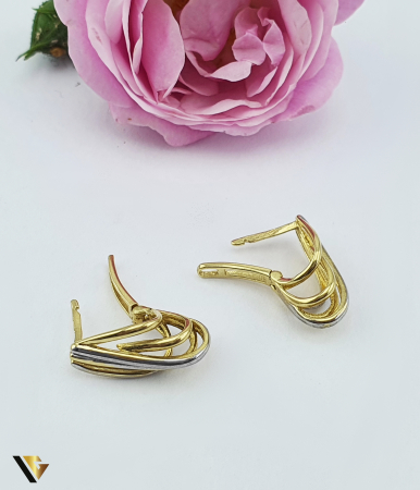 Cercei Aur 14k [1]