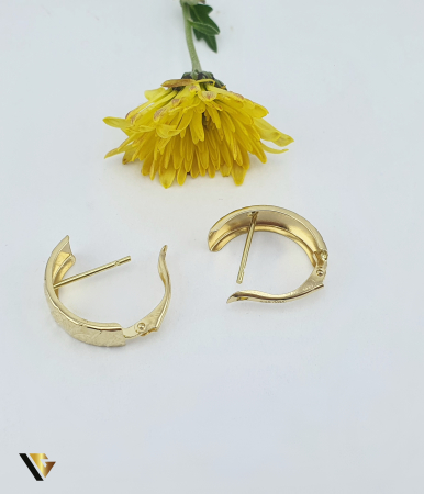 Cercei Aur 14k [1]