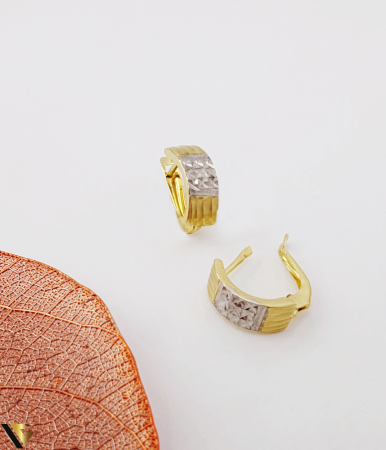 Cercei Aur 14k [1]