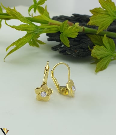 Bijuterii din aur - Cercei  Aur 14k