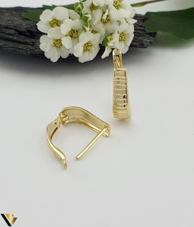 Cercei Aur 14k [1]
