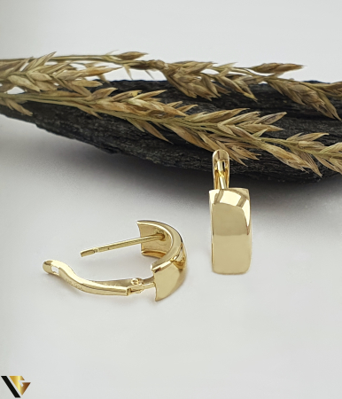 Bijuterii din aur - Cercei Aur 14k