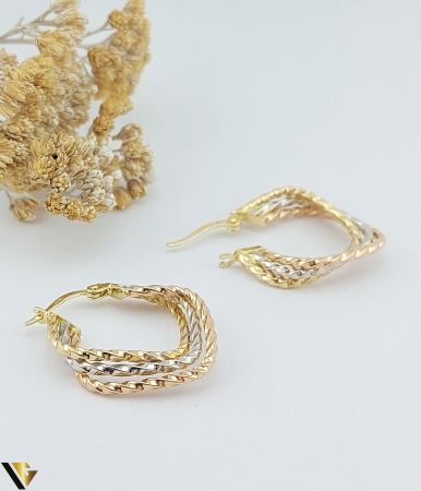 Cercei Aur 14K [1]