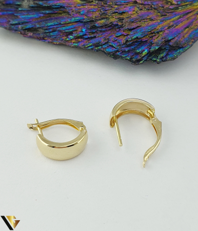 Cercei  Aur 14k [1]