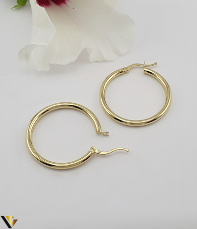 Cercei Aur 14K [1]