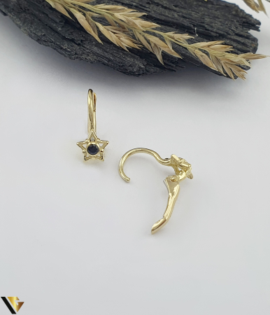 Cercei Aur 14K [1]