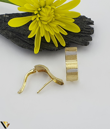 Cercei Aur 14K [1]