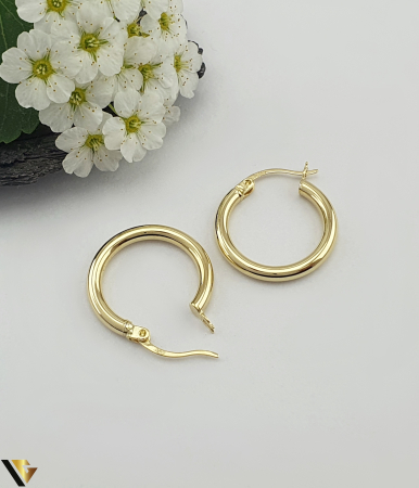 Cercei Aur 14k [1]