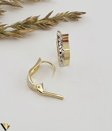 Cercei Aur 14K [1]