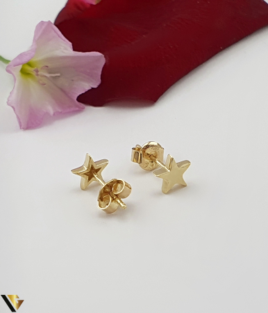 Cercei Aur 14k [1]