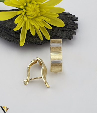 Bijuterii din aur - Cercei Aur 14K