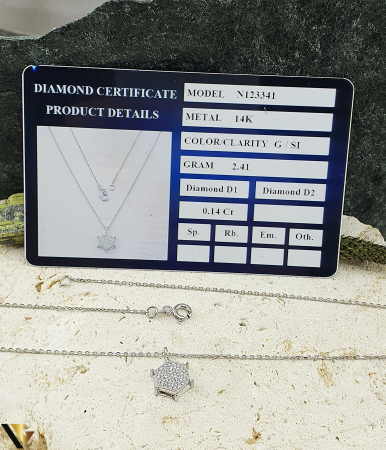 Lant cu Pandantiv Aur Alb 14k, Diamante 0.14 ct in total [2]
