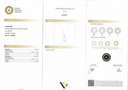 Lant cu Pandantiv Aur Alb 18k, Diamante 0.32 ct [4]